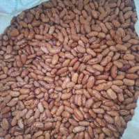 لوبیاچیتی|خوردنی و آشامیدنی|خورموج, |دیوار