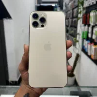 12پرومکس