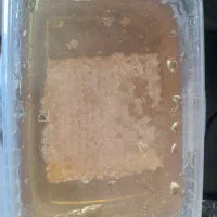 عسل طبیعی