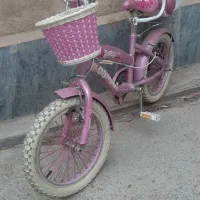 دوچرخه سایر 18