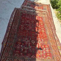 فرش دست بافت قدیمی|فرش|شیراز, حومه شیراز|دیوار