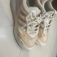 کفش adidas اصل