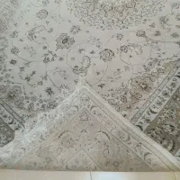 فرش|فرش|کرمانشاه, |دیوار