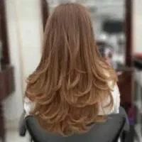 کوتاهی مو(بدون هزینه)|خدمات آرایشگری و زیبایی|رشت, نظری|دیوار