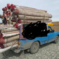 راننده قالیشویی نیازمندیم