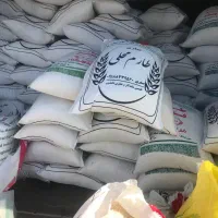 برنج طارم فجر .برنج طارم محلی