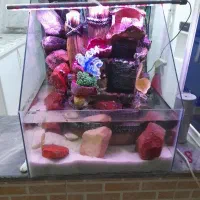 اکواریم طراح ابنما