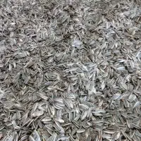 تخمه آفتابگردان درجه ۱