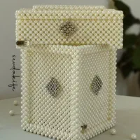 جا دستمال کاغذی و سطل کنار سالنی