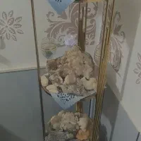 سنگ کوارتز و طلا