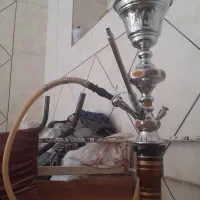 کبوتر|کلکسیون و سرگرمی|باغ بهادران, |دیوار