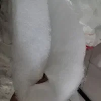 الیاف یا پشم شیشه