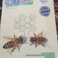کتاب خیلی سبز