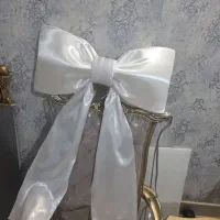 پاپیون مراسم|مجسمه، تندیس، ماکت|مشهد, وکیل‌آباد|دیوار