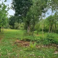 زمین ۷۰۰متری مسکونی|فروش زمین و ملک کلنگی|شفت, |دیوار