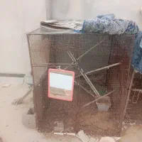 3عدد قفس بزرگ محکم