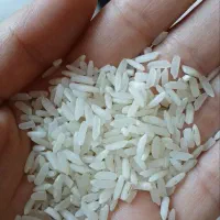 برنج aaa|خوردنی و آشامیدنی|تهران, انبار نفت|دیوار