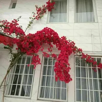 فروش خانه ویلایی ۱۵۰ متری ۲ خوابه در دیانتی