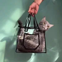 کیف شیشه ای