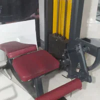 دستگاه بدن سازی پشت پا