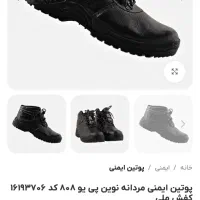 پوتین ایمنی