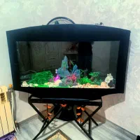 آکواریوم با کل لوازم