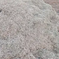 کاه لوبیا|لوازم جانبی حیوانات|قیدار, |دیوار