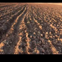 زمین باغی ویلایی همراه باآب متری 200هزار