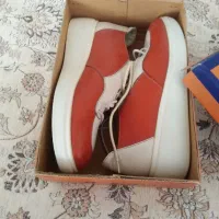 کفش نو|کیف، کفش، کمربند|بوکان, |دیوار