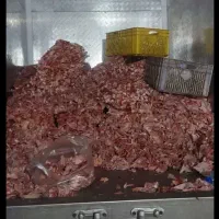خریدار اسکلت مرغ تناژ