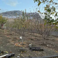 باغ|فروش زمین و ملک کلنگی|سنقر, |دیوار