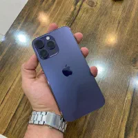 14 پرومکس