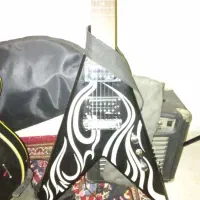 گیتار الکتریک bc.rich کری کینگ