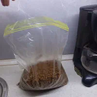 غذای گربه رفلکس