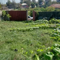 فروش ۷۵۱متر زمین دور دیوار با بر ۲۱متری ویوعالی|فروش زمین و ملک کلنگی|شاندرمن, |دیوار