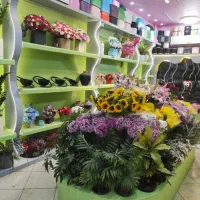 واگذاری-گلفروشی