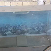 اکواریوم