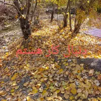 راهنمایی دنبال کار
