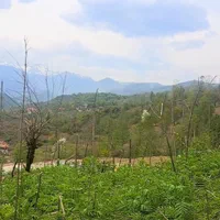 فروش ویلایی بامحوطه 800مترمربع.مدارک نسق|فروش خانه و ویلا|احمدسرگوراب, |دیوار