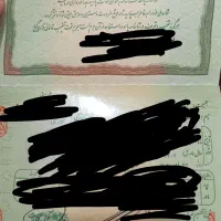 یک عدد شناسنامه و کارت ملی گم شده هست