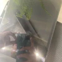 تبلت SM-P619 Galaxy Tab S6 Lite|تبلت|تهران, میرداماد|دیوار