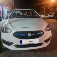 شاهین دنده ای 1404خشک