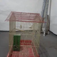 قفس پرنده|لوازم جانبی حیوانات|دماوند, گیلاوند|دیوار