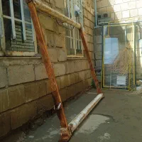 دار قالی سالم