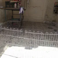 باکس حیوانات