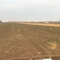 فروش ۱ هکتار درشیدان|فروش دفتر صنعتی، کشاورزی، تجاری|اصفهان, بهارستان|دیوار