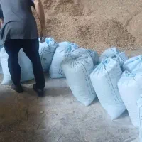 نان خشک برای دام و شتر مرغ و مرغ داریها