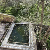 بومگردی روستای ازغد