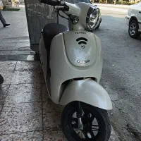 پا کشتی گیرینو