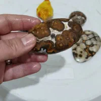 سنگ‌های طبیعی زیبا